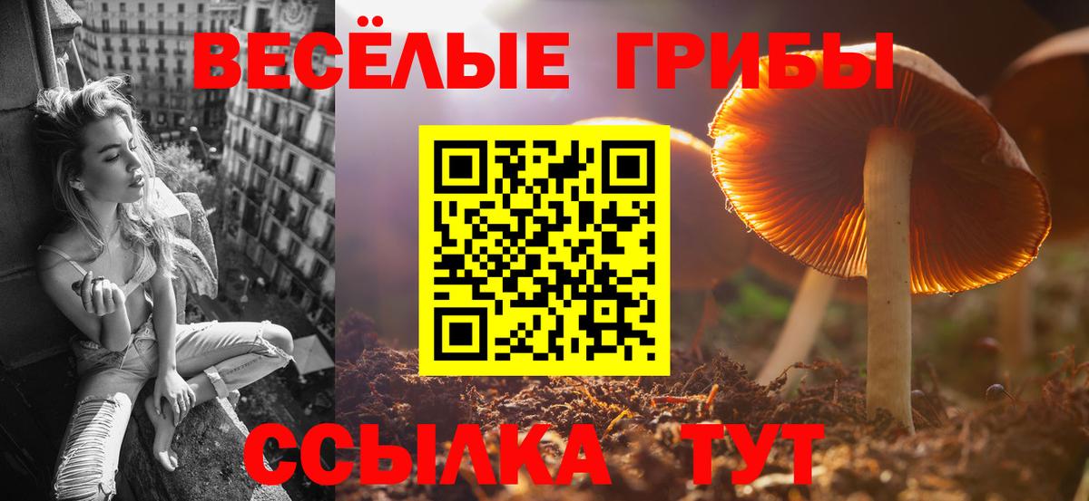 Галлюциногенные грибы Psilocybine cubensis  Вход с VPN  Кудрово 