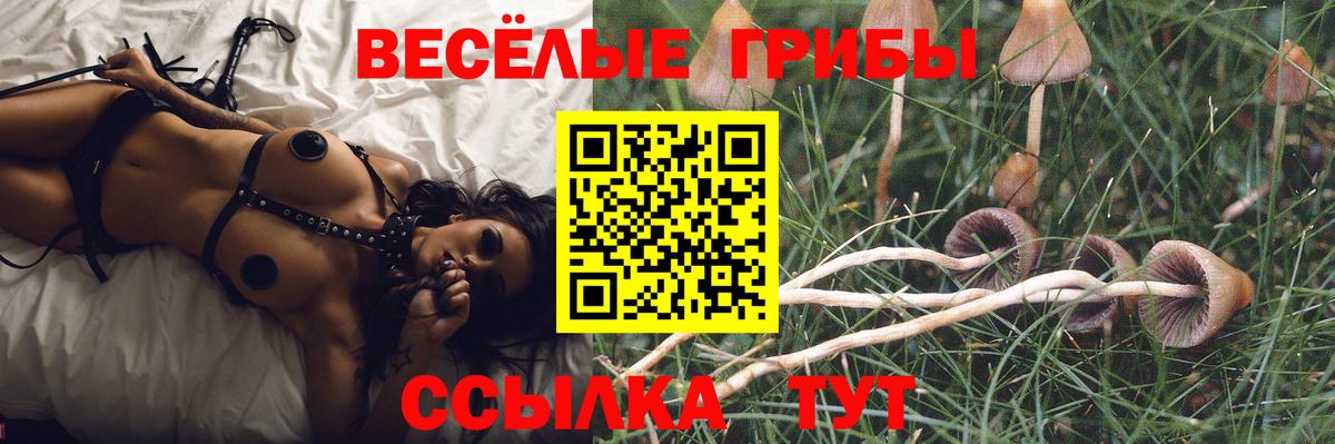 Галлюциногенные грибы Magic Shrooms Кудрово